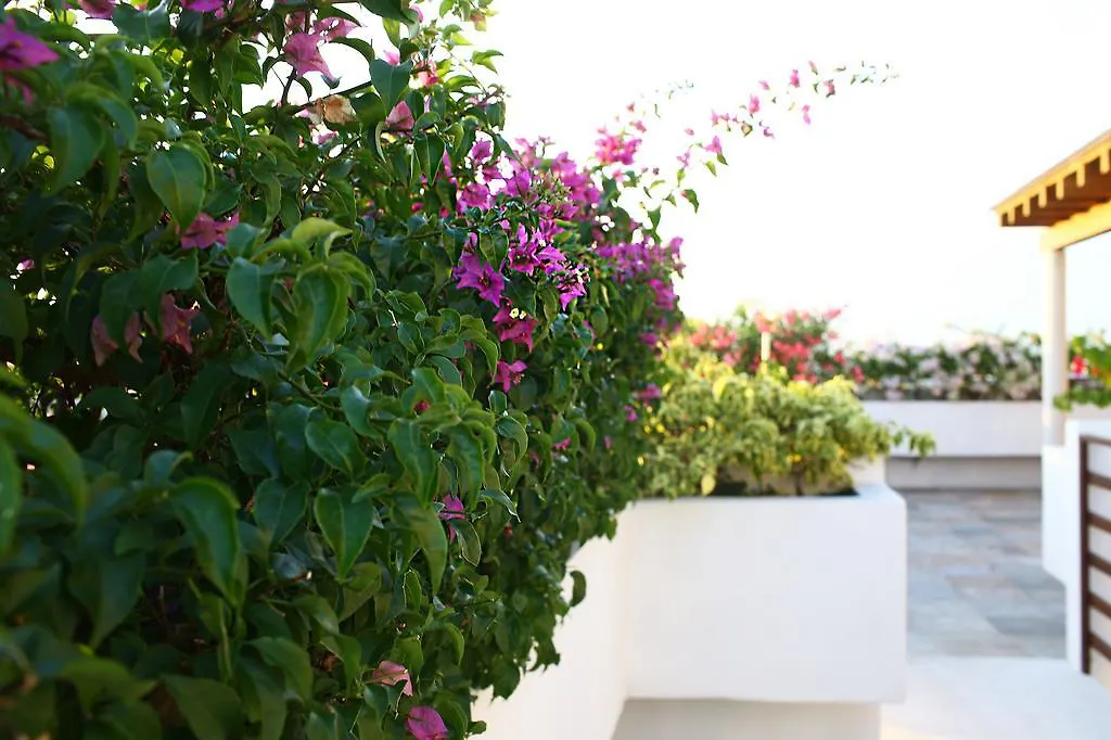 Playa 34/40 Apartment Playa del Carmen