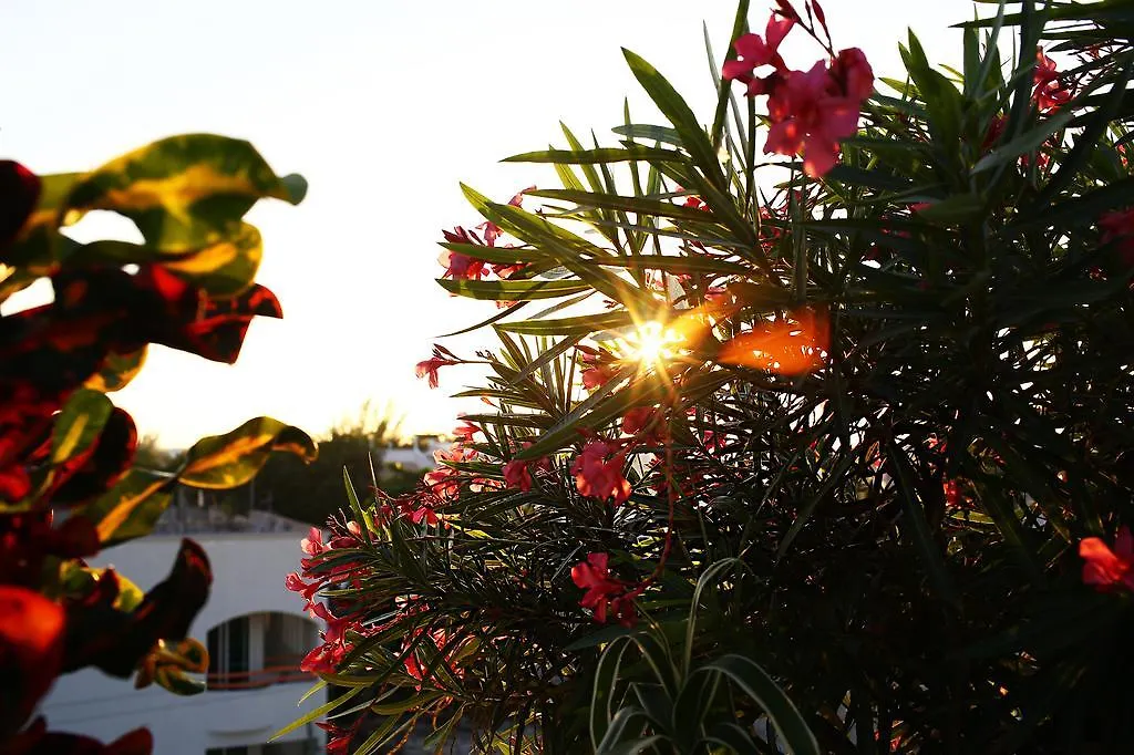 Apartmán Playa 34/40 Playa del Carmen